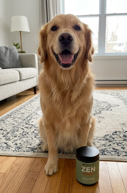 Client Truffi