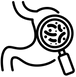 MICROBIOTE ÉQUILIBRÉ
