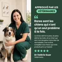 Protocole Complet : approuvé par les vétérinaires