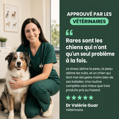 Protocole Complet : approuvé par les vétérinaires