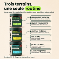 Protocole Complet : trois terrains, une seule routine
