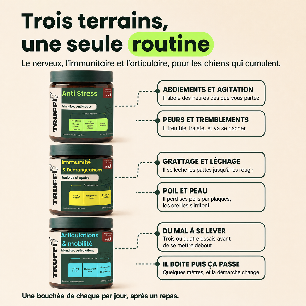 Protocole Complet : trois terrains, une seule routine