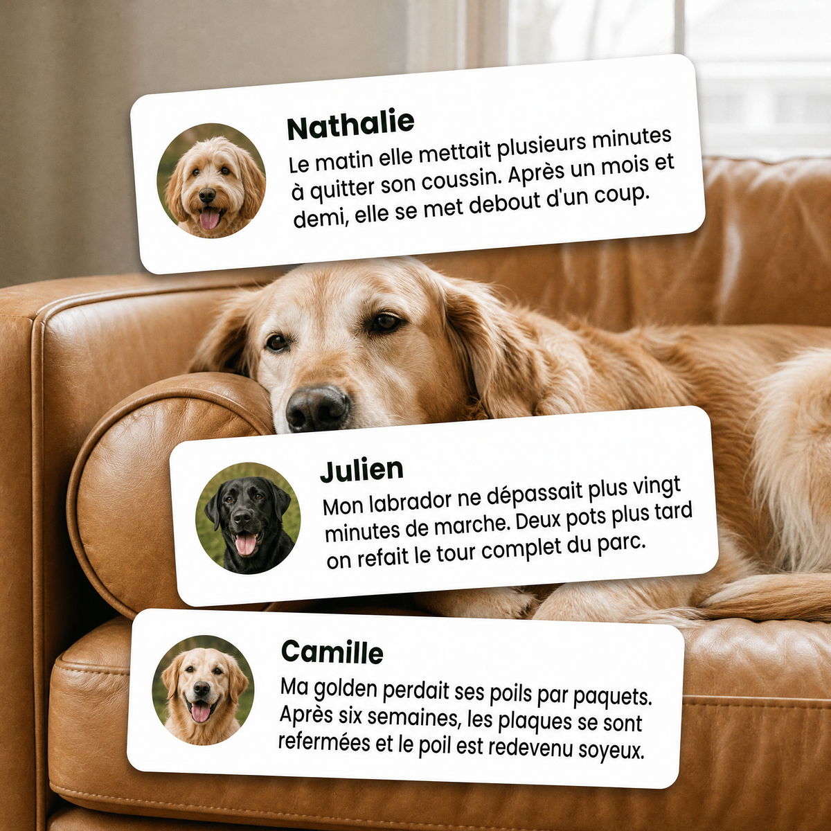 Protocole Senior : avis clients