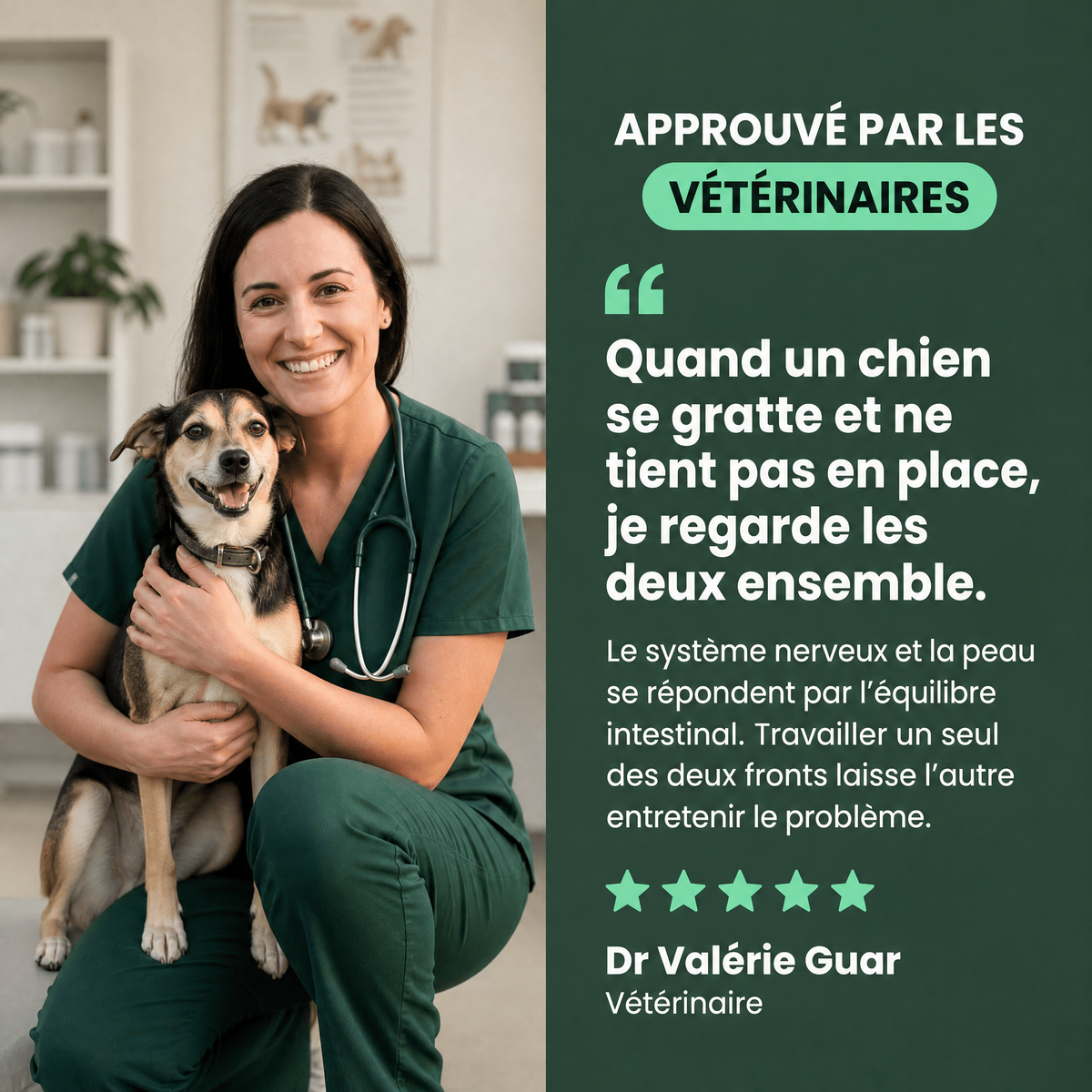 Protocole Sérénité : approuvé par les vétérinaires
