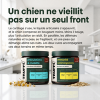 Protocole Senior : un chien ne vieillit pas sur un seul front