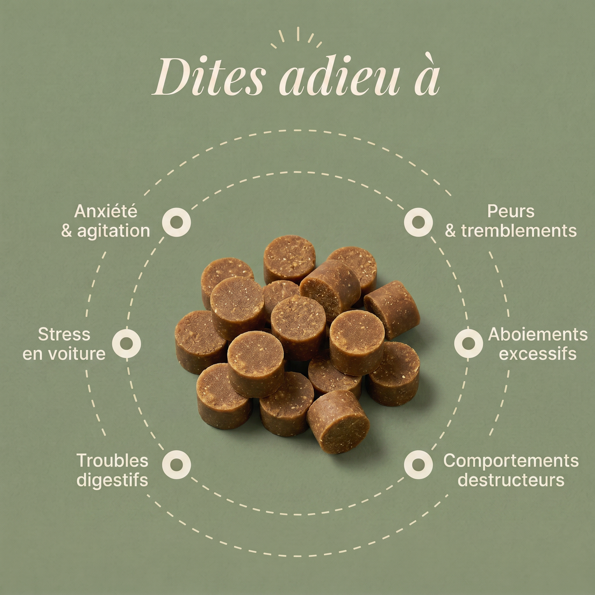 ZEN - Friandises Anti-Stress pour Chien