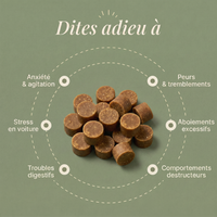 ZEN - Friandises Anti-Stress pour Chien