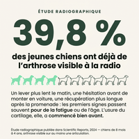 Articulation & Mobilité: Soutien et confort articulaire - HelloTruffi
