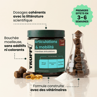 Articulation & Mobilité: Soutien et confort articulaire - HelloTruffi