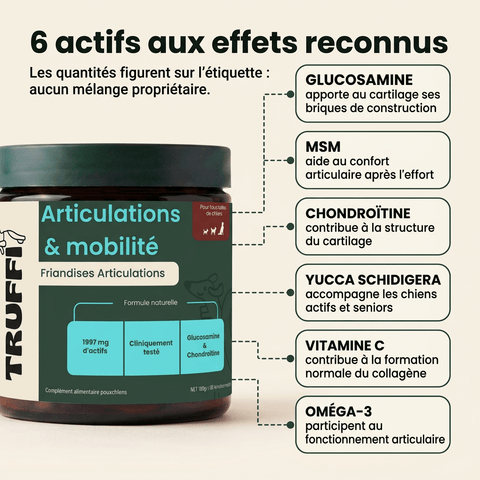 Articulation & Mobilité: Soutien et confort articulaire - HelloTruffi