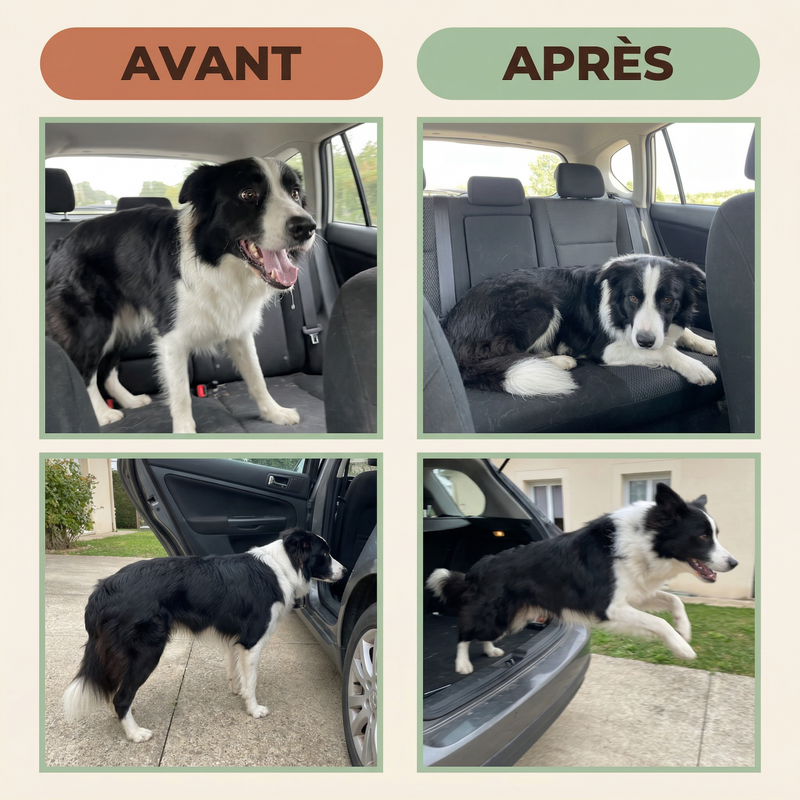 Il voyage enfin sereinement