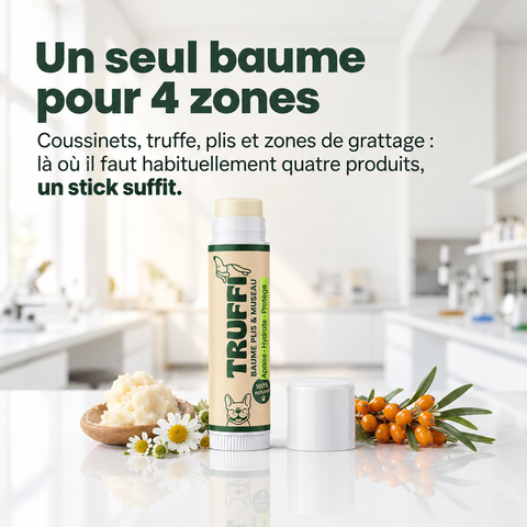 Un seul baume Truffi pour quatre zones : coussinets, truffe, plis et zones de grattage