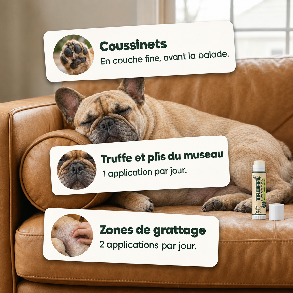 Ou appliquer le baume Truffi : coussinets, truffe et plis du museau, zones de grattage