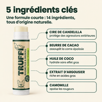 Les cinq actifs cles du baume Truffi : candelilla, cacao, coco, argousier, camomille