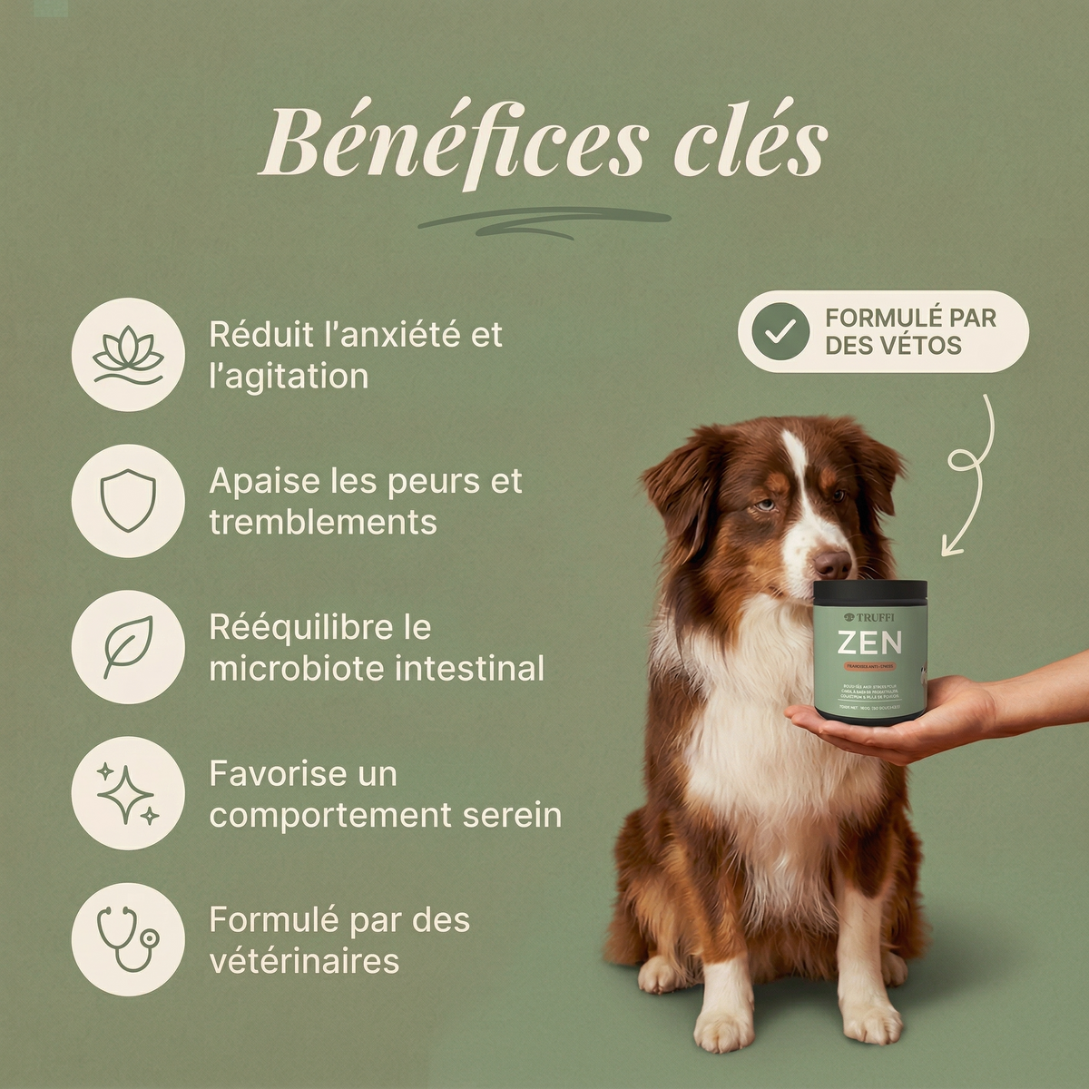 Bénéfices de ZEN : moins d'aboiements, sommeil profond, chien apaisé
