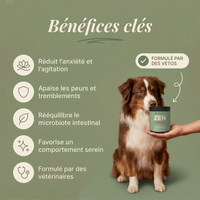 Bénéfices de ZEN : moins d'aboiements, sommeil profond, chien apaisé