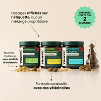 Protocole Complet : dosages affichés, sans additifs ni colorants
