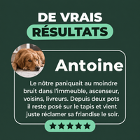Protocole Complet : témoignage client