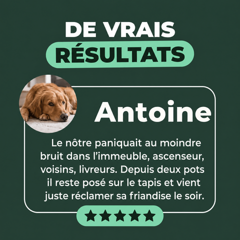 Protocole Complet : témoignage client