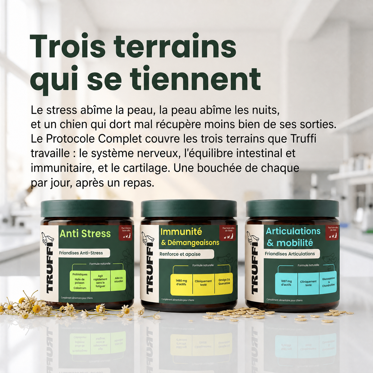 Protocole Complet : trois terrains qui se tiennent