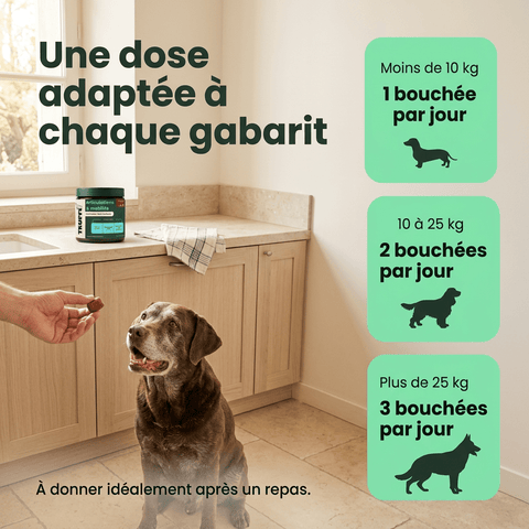 Articulation & Mobilité: Soutien et confort articulaire - HelloTruffi
