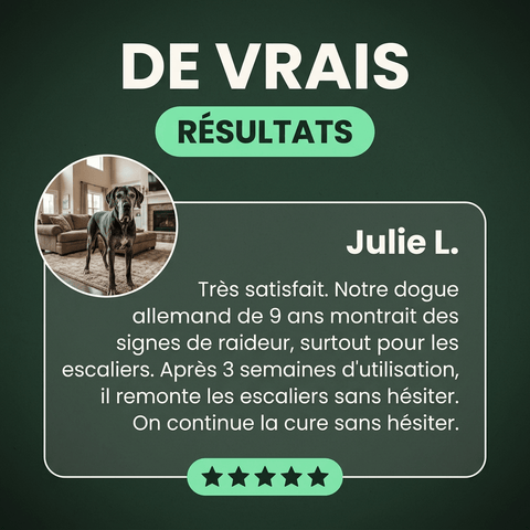 Articulation & Mobilité: Soutien et confort articulaire - HelloTruffi