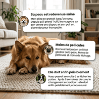 Immunité et Démangeaison - HelloTruffi