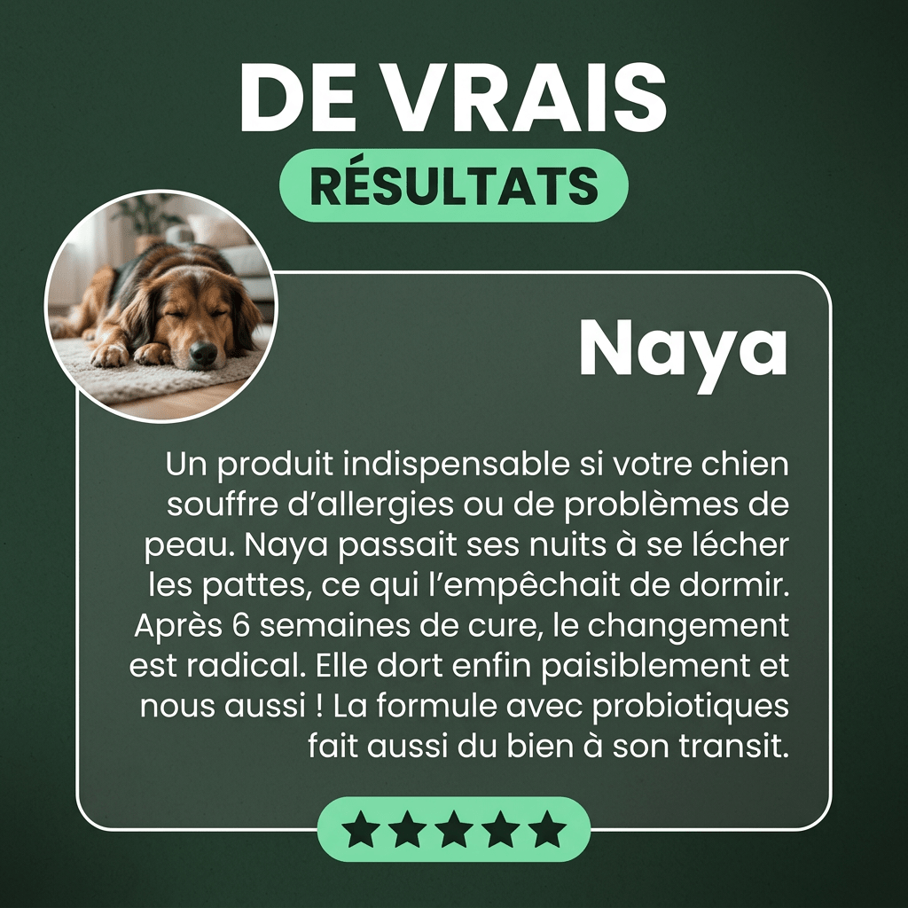 Immunité et Démangeaison - HelloTruffi