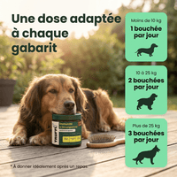 Immunité et Démangeaison - HelloTruffi