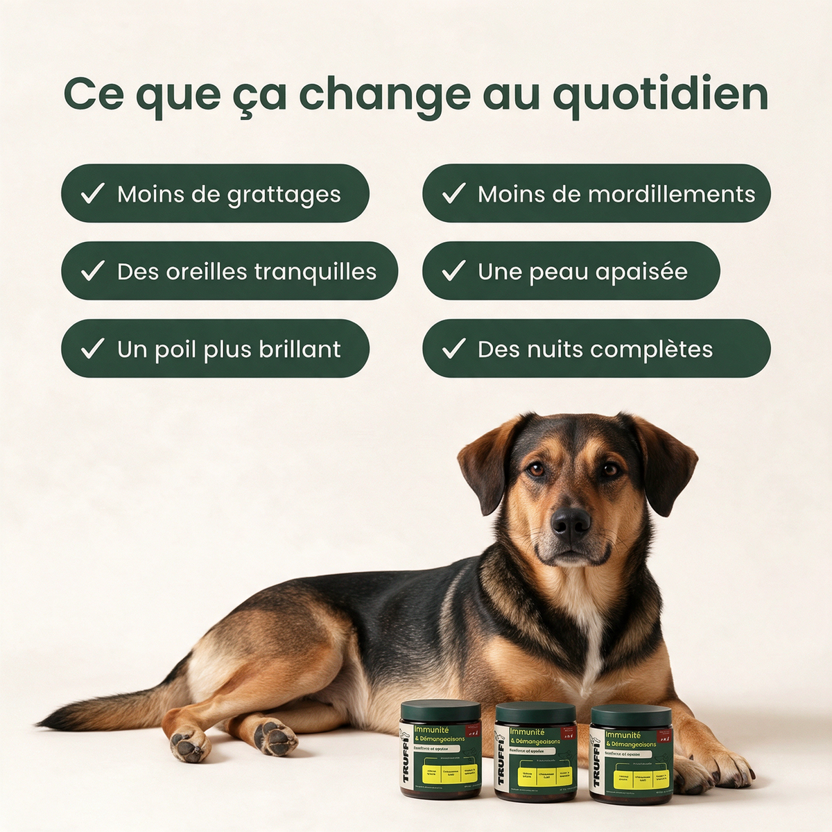 Ce que le complément Immunité & Démangeaisons Truffi change au quotidien : moins de grattages, une peau apaisée, un poil plus brillant, des nuits complètes Image