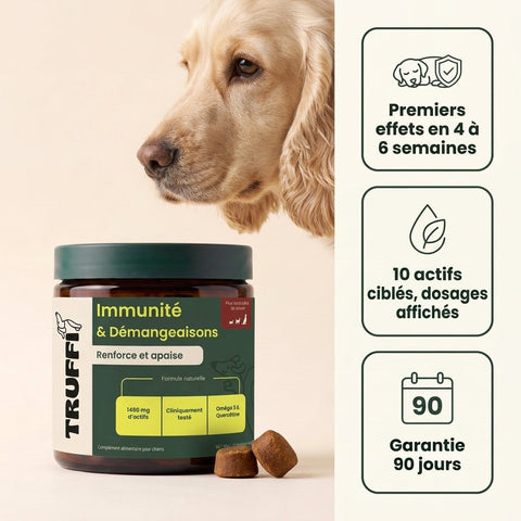 Immunité et Démangeaison - HelloTruffi