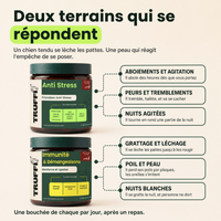 Protocole Sérénité : deux terrains qui se répondent