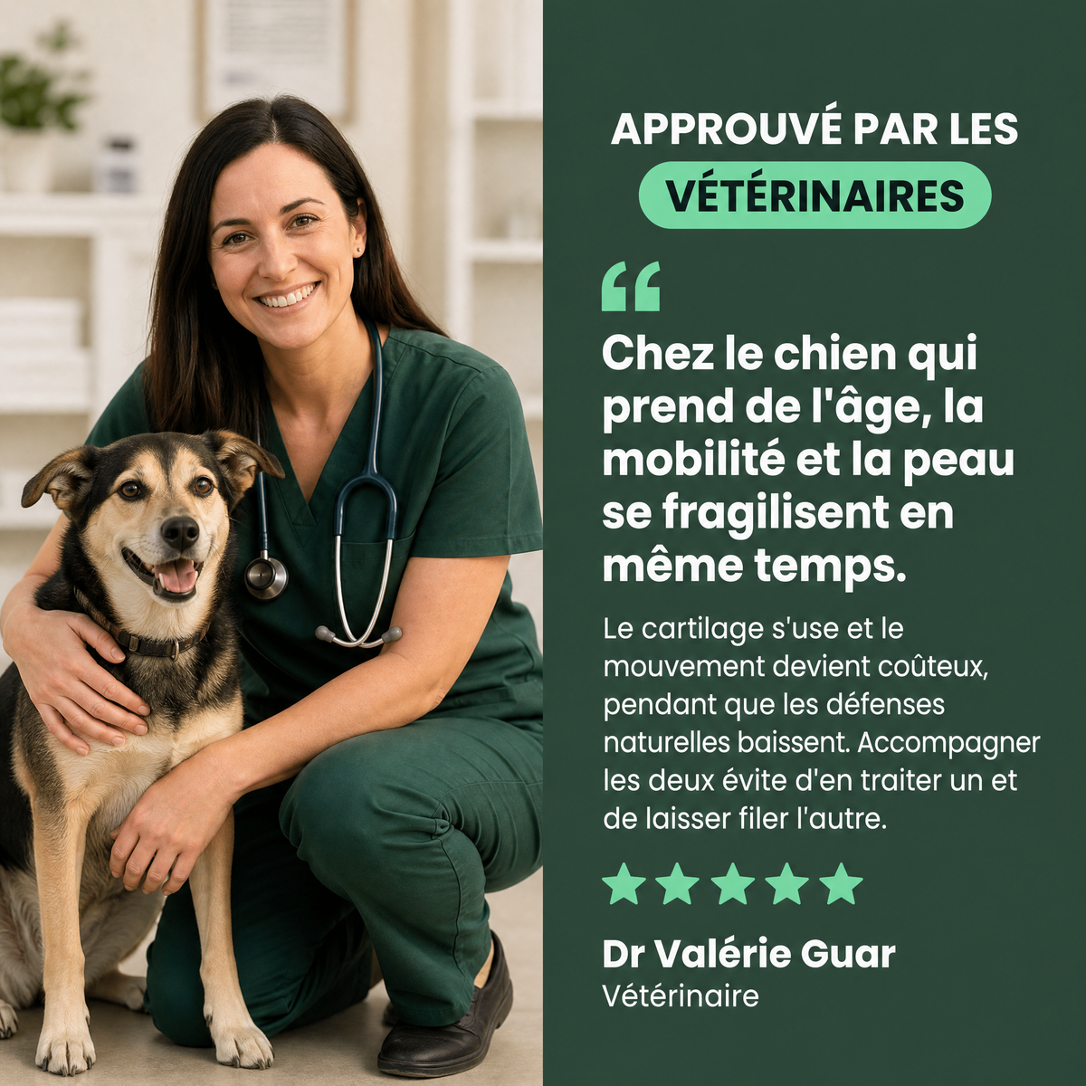 Protocole Senior : approuvé par les vétérinaires