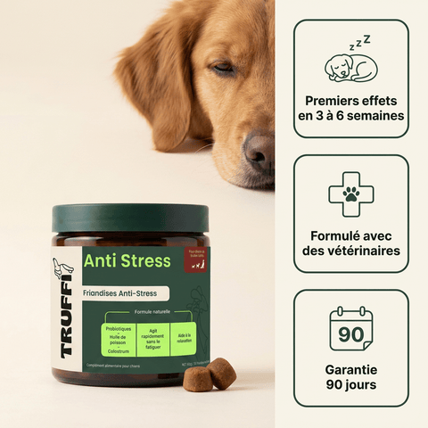 Anti-Stress · Apaise stress et anxiété du chien - HelloTruffi