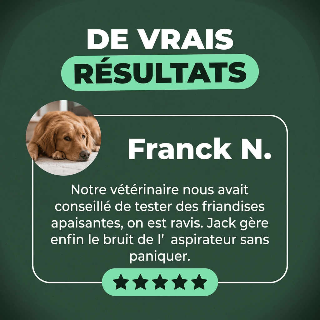 Anti-Stress · Apaise stress et anxiété du chien - HelloTruffi