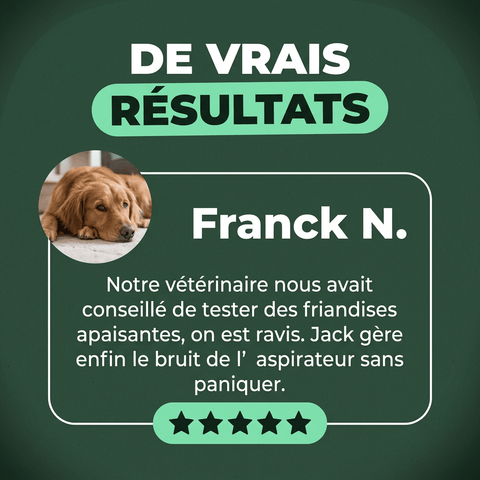 Anti-Stress · Apaise stress et anxiété du chien - HelloTruffi