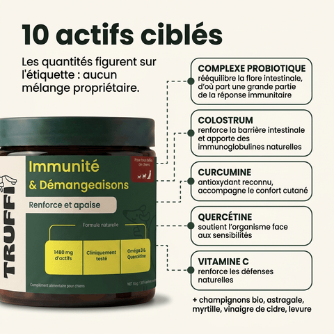 Immunité et Démangeaison - HelloTruffi