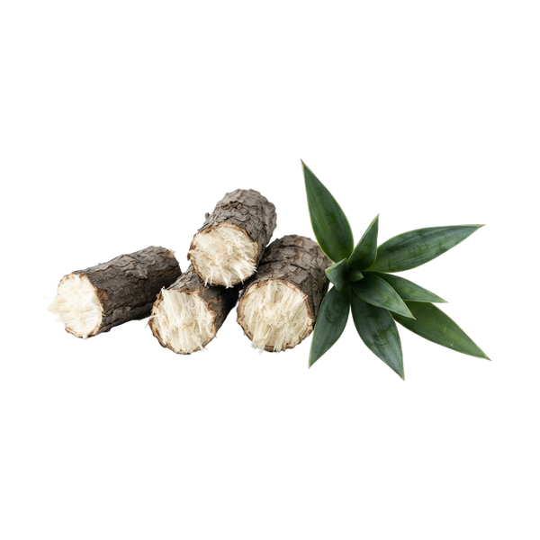Yucca Schidigera