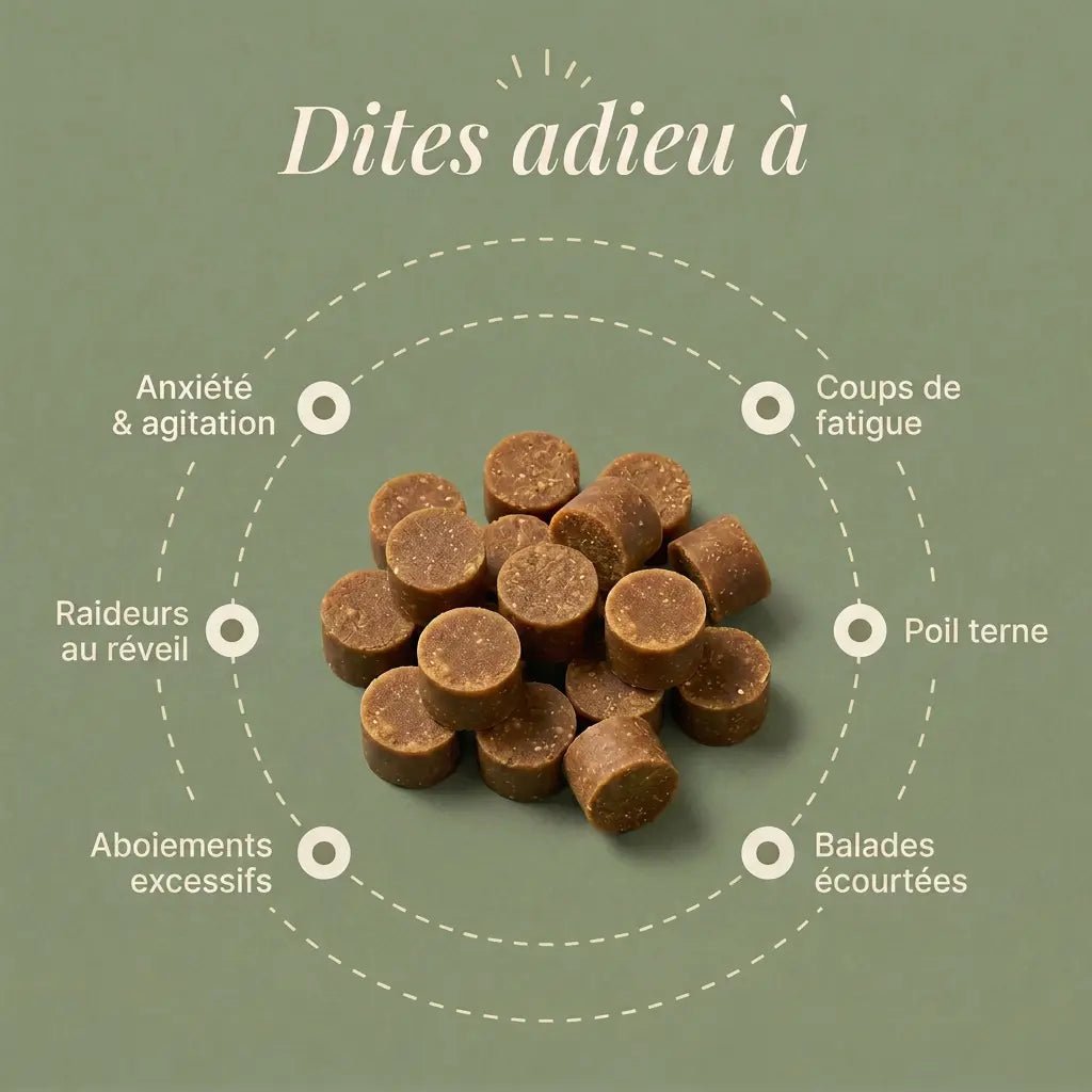 Routine Complète - HelloTruffi