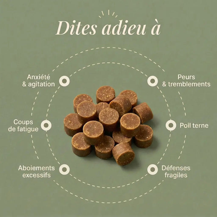 Routine Sérénité