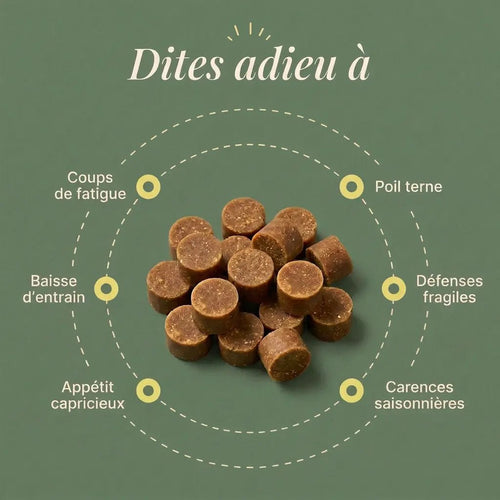Multivitamines: Vitalité au quotidien - HelloTruffi