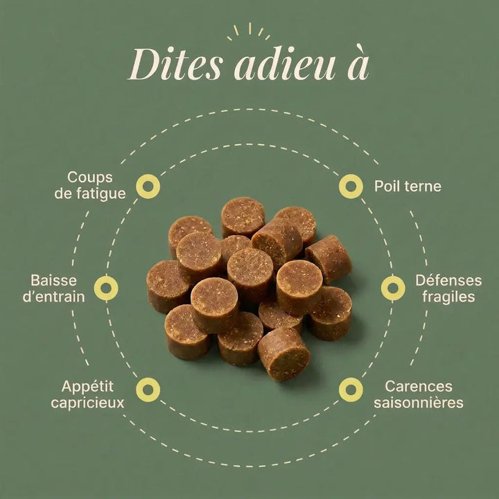 Multivitamines: Vitalité au quotidien