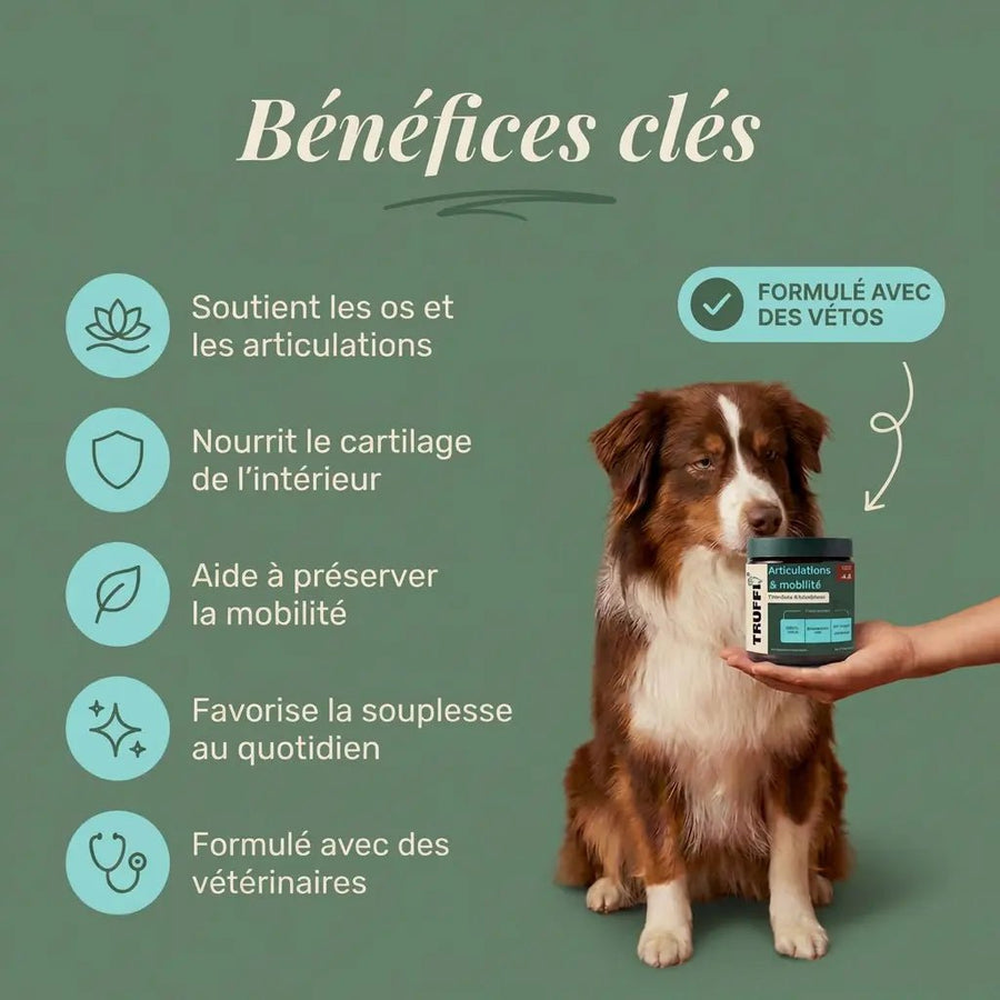 Mobilité et souplesse au quotidien