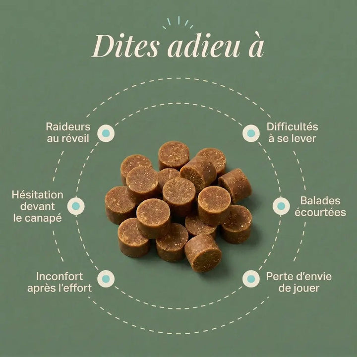 Articulation & Mobilité: Soutien et confort articulaire