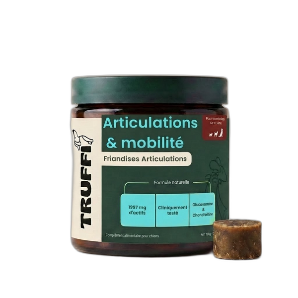 ARTICULATIONS