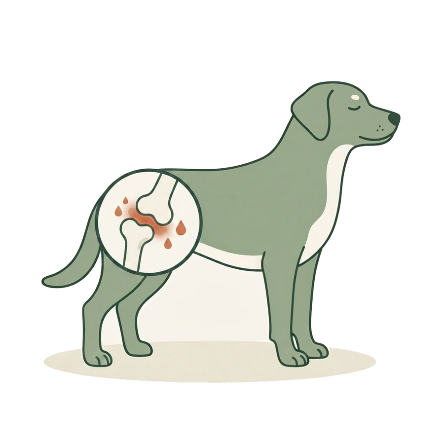 2. Assouplir