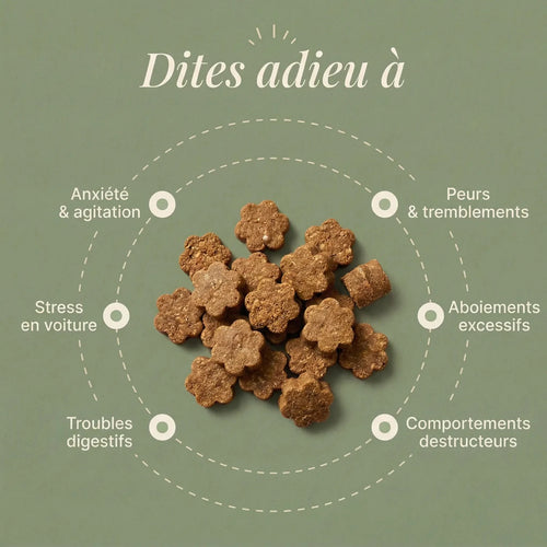 Anti-Stress · Apaise stress et anxiété du chien - HelloTruffi
