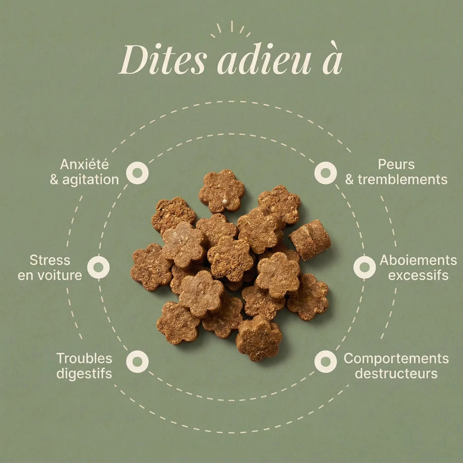 Apaiser le stress naturellement