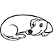 CALME IMMÉDIAT